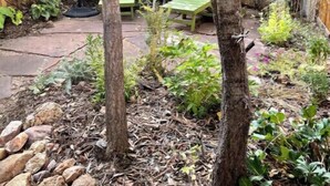 Un jardin avec une clôture en bois, une table et deux chaises vertes.