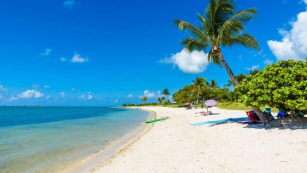 A beach with clear blue water, a palm tree, and beach umbrellas. - CASA NEGRONI+DOCK+POOL 🔥❄️PETS+🔥Pit+TiKiBar+ Boat & Parking✅ (Marathon)