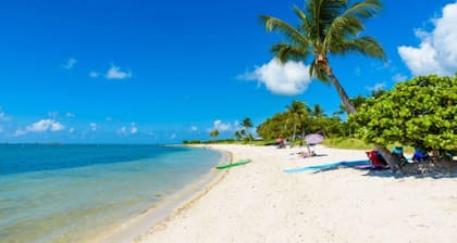 New By Beach -Heat or Chill Pool -Tiki bar,fire pit & dock boat-50ft & Pets Ok