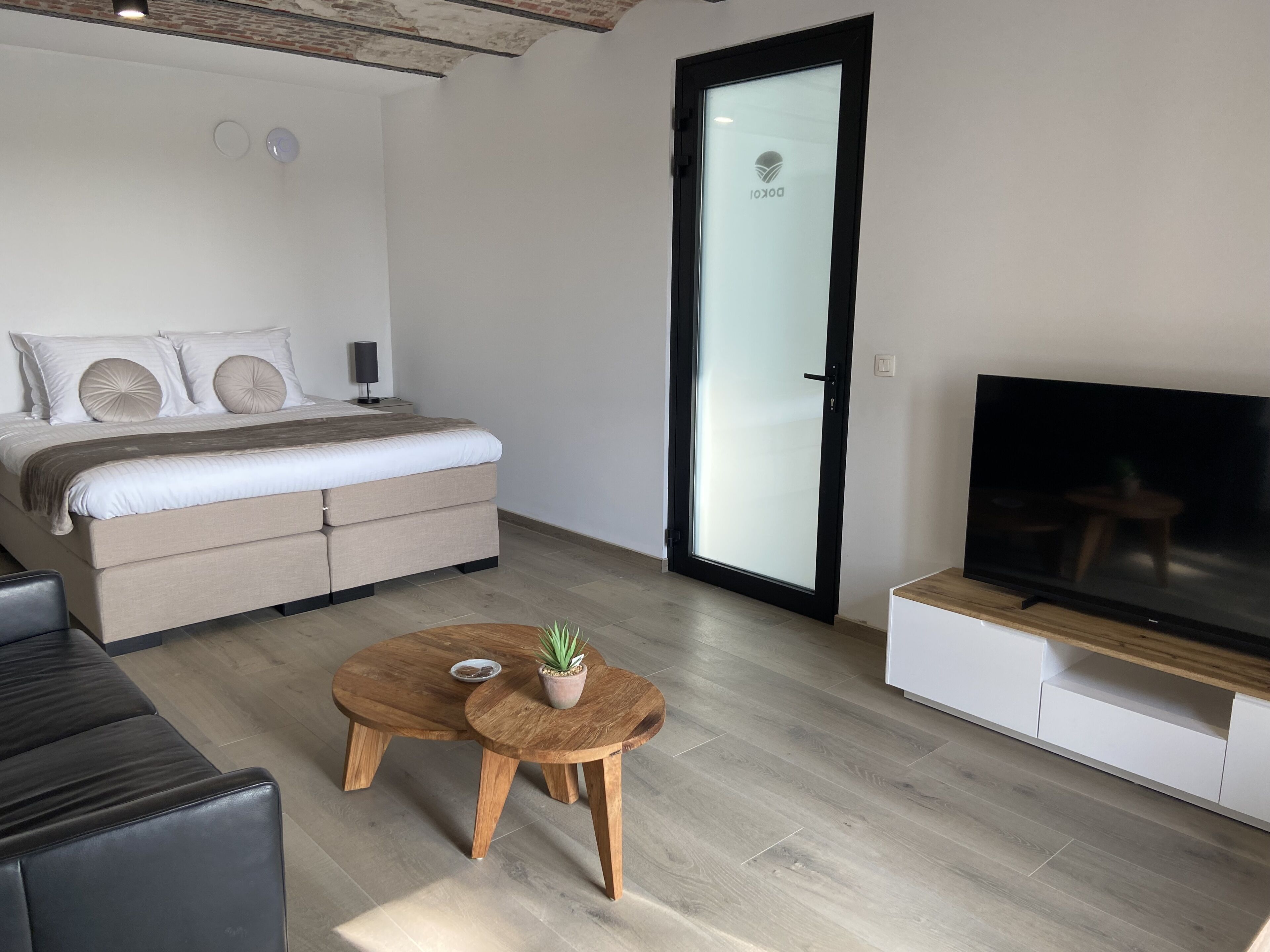 A modern bedroom with a bed, a TV, and a small table with a plant.