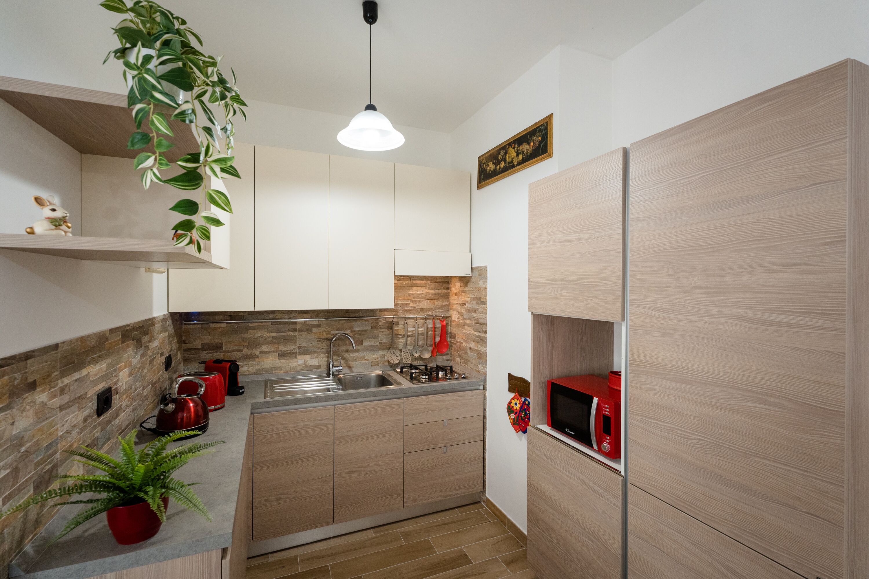 Una cocina moderna con armarios de madera, un lavamanos empotrado y una planta colgante.