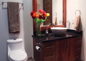 Hair dryer, towels, soap, shampoo