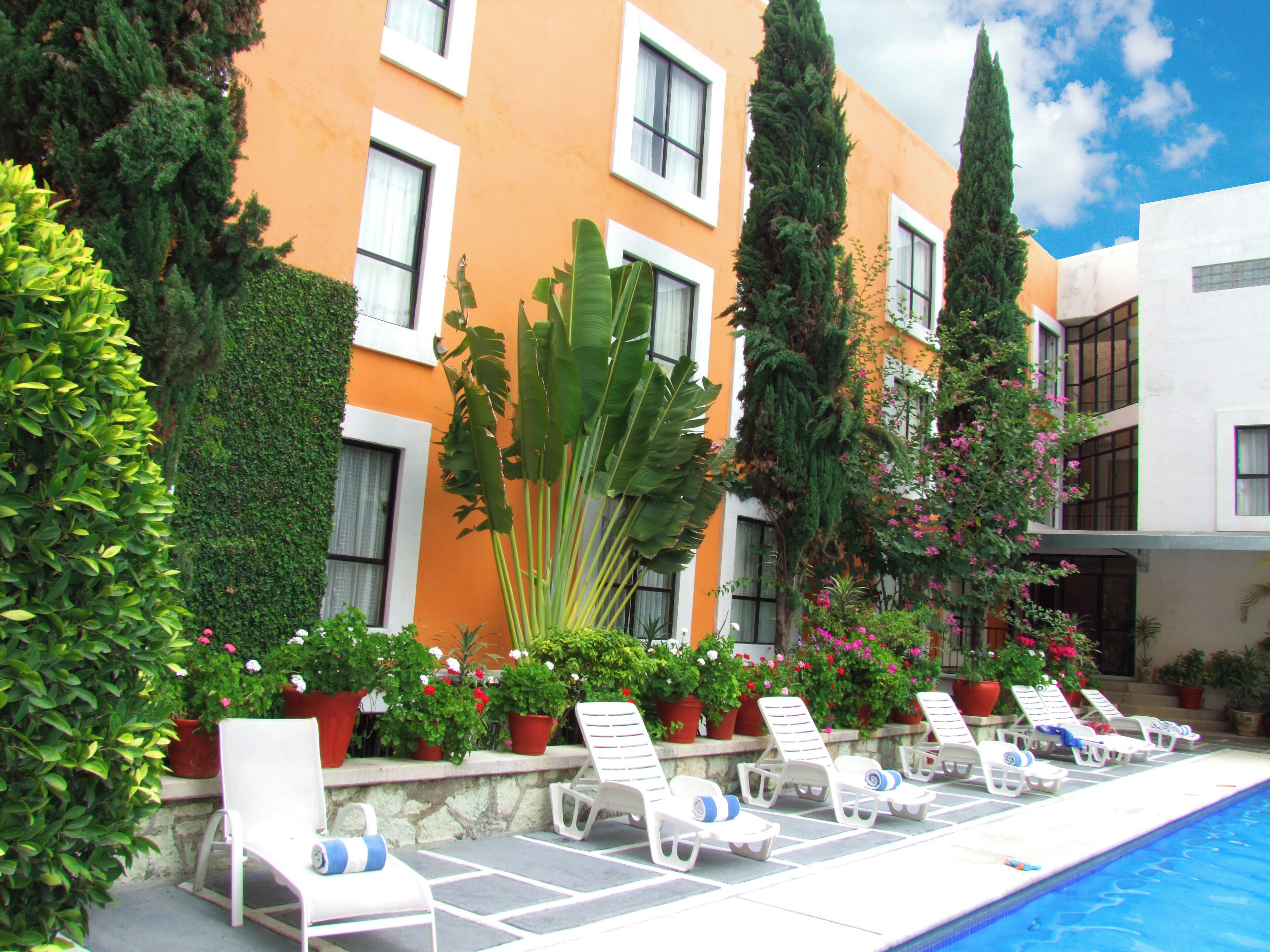 Foto - Hotel Oaxaca Dorado