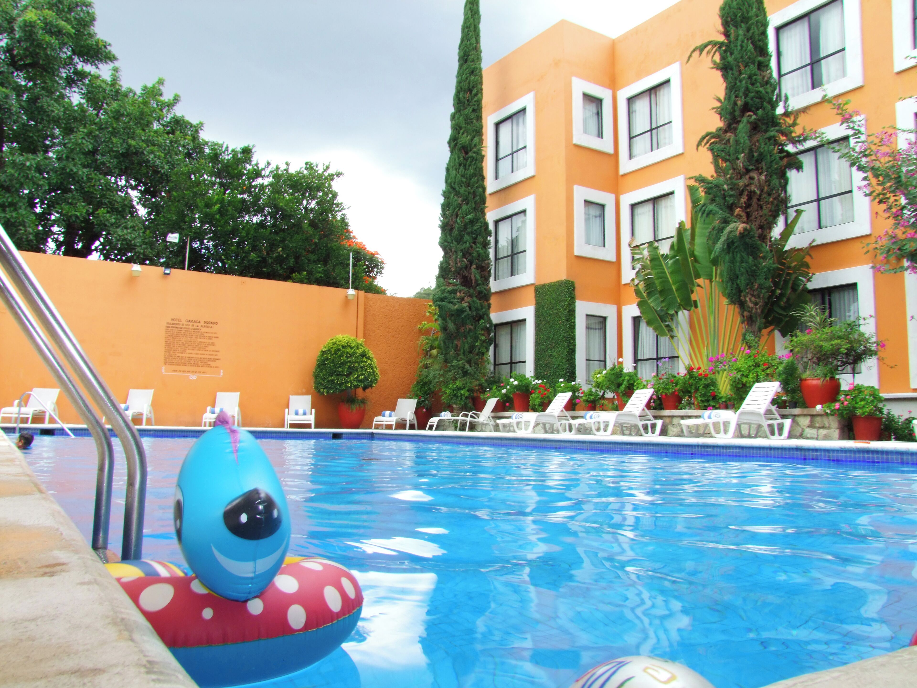 Foto - Hotel Oaxaca Dorado
