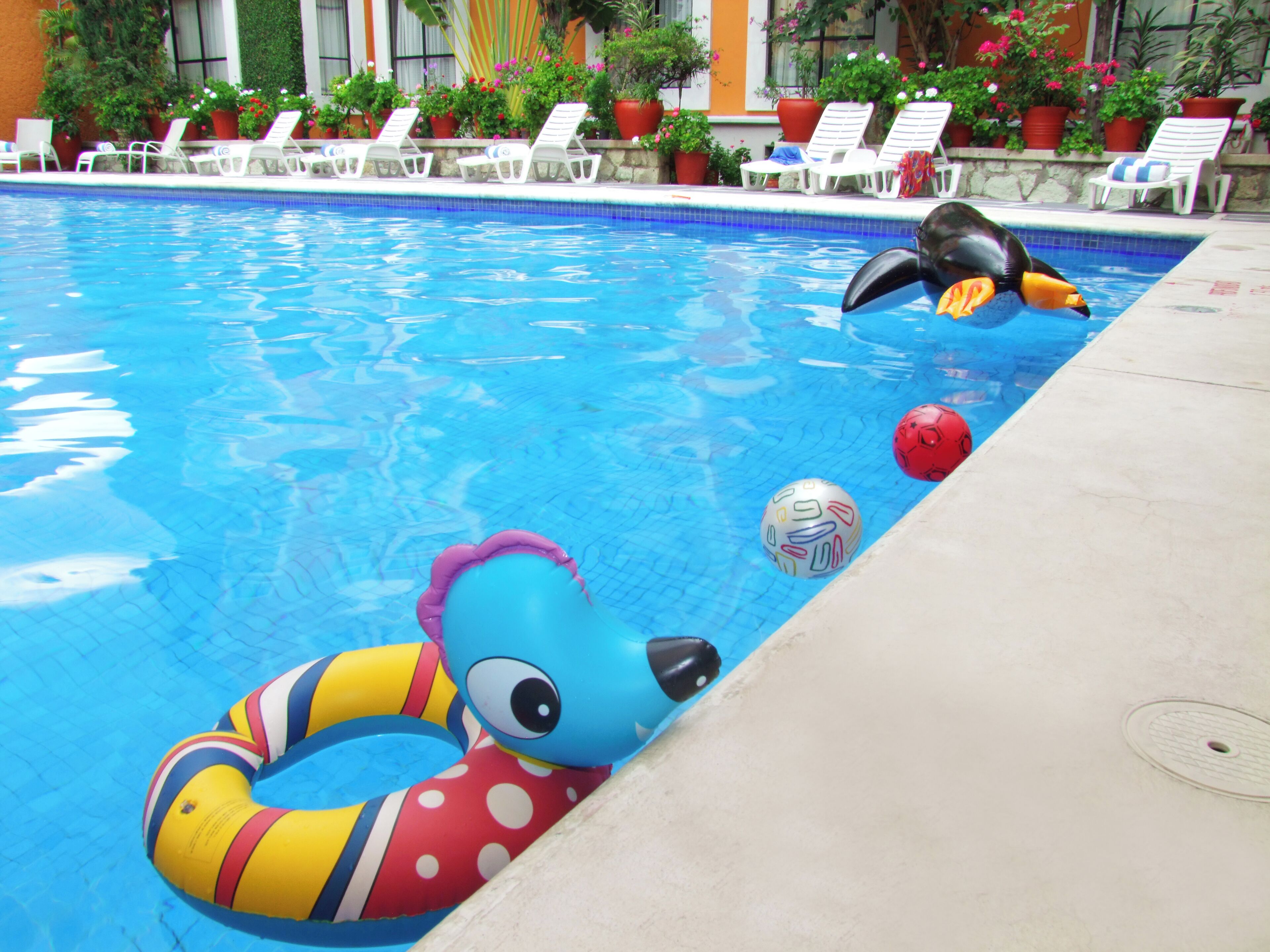Foto - Hotel Oaxaca Dorado
