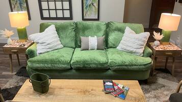 Smart TV, fireplace, books, printers