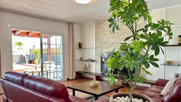 Ein Wohnzimmer mit einem roten Ledersofa, einem Couchtisch und einer großen Kübelpflanze.