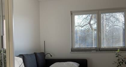 Modern room in Ostrava