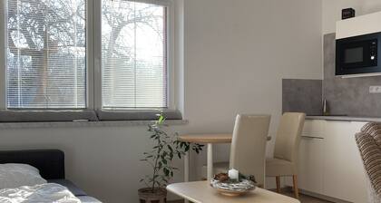 Modern room in Ostrava
