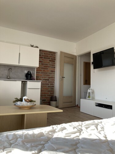 Modern room in Ostrava