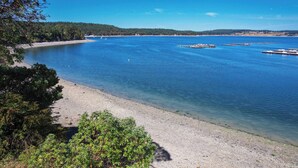 Paisagem costeira com águas azul-claras, uma praia de areia e uma área arborizada.