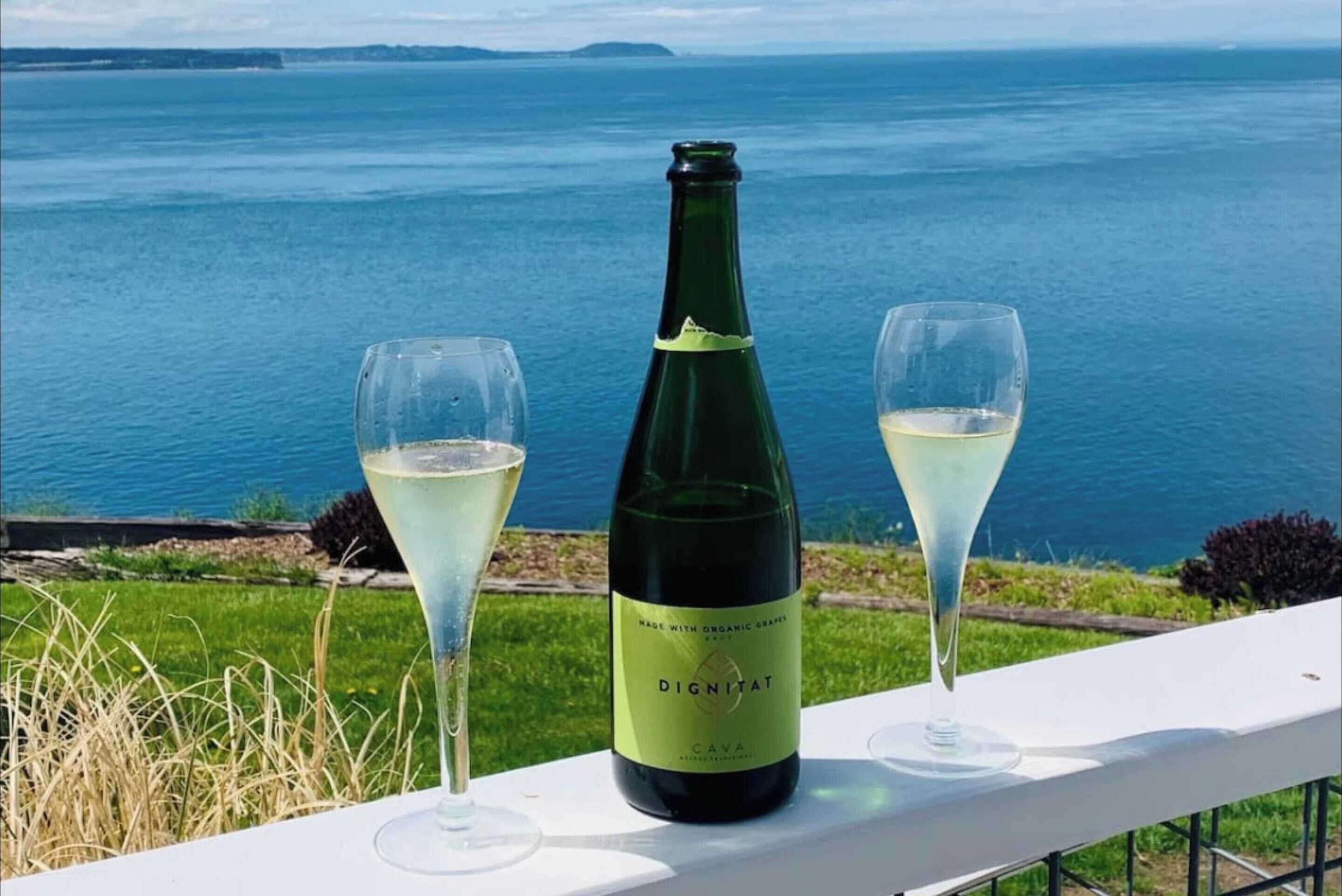A bottle of Dignitat Cava wine and two glasses on a white table with a view of the sea.
