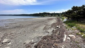 A beach with a rocky shoreline, a calm sea, and a forested area in the background. - Twin Oaks Retreat by Avantstay Mins to Freeland (Freeland)