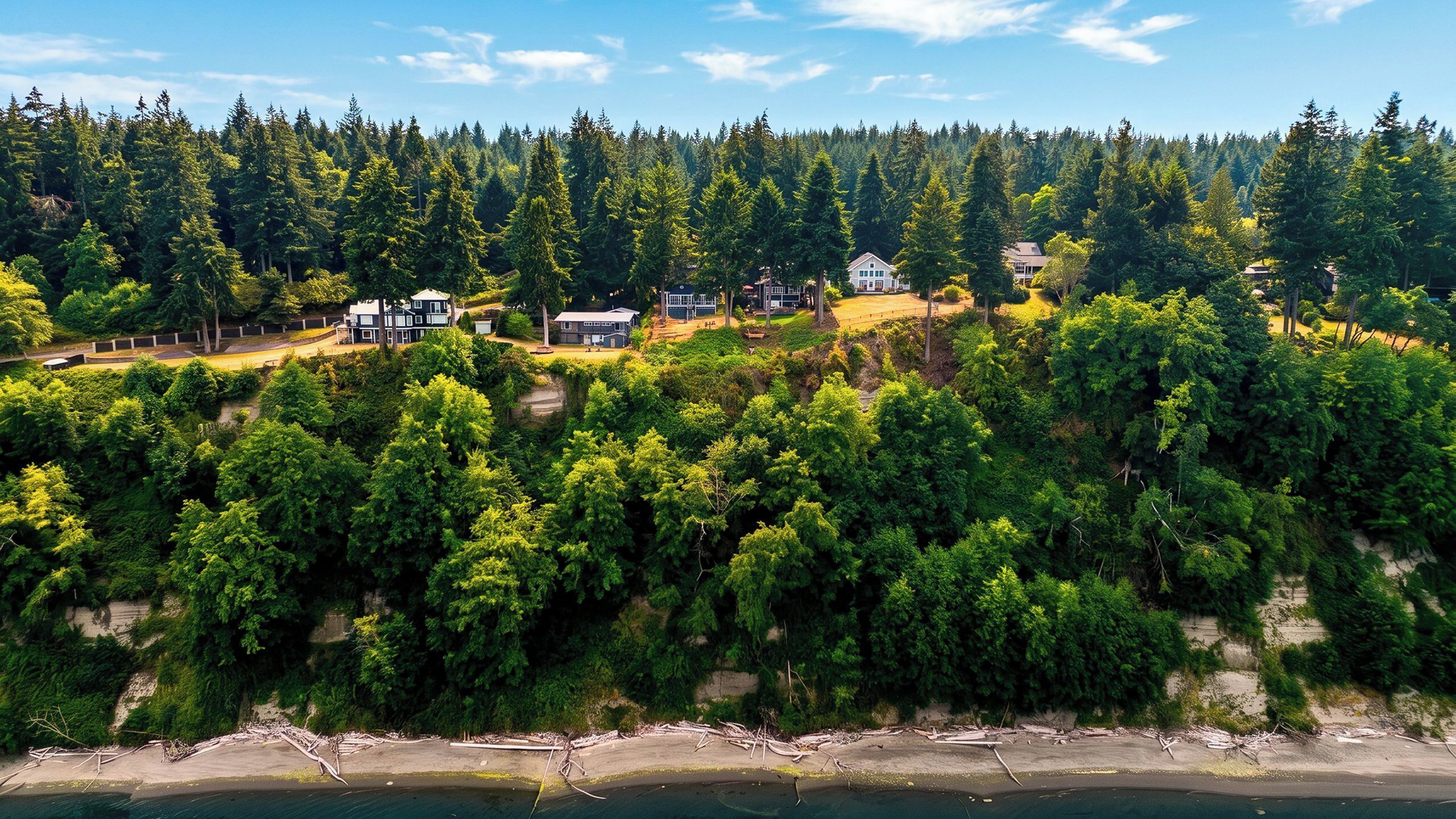 A coastal property with multiple houses surrounded by dense forest.