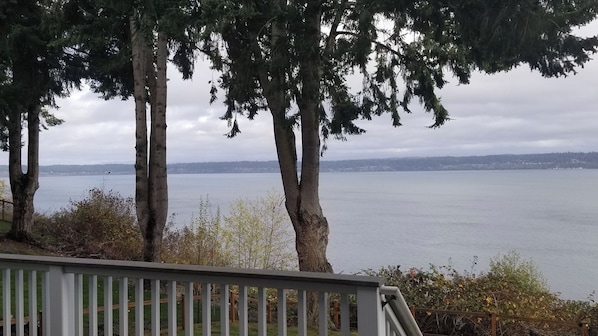 A view of a lake with trees and a distant shoreline.