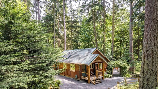 A wooden cabin with a metal roof, surrounded by dense forest. - The Cottage at Herons Roost by Avantstay (Langley)