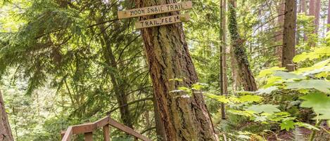 Casa (1 Bedroom) | Interior