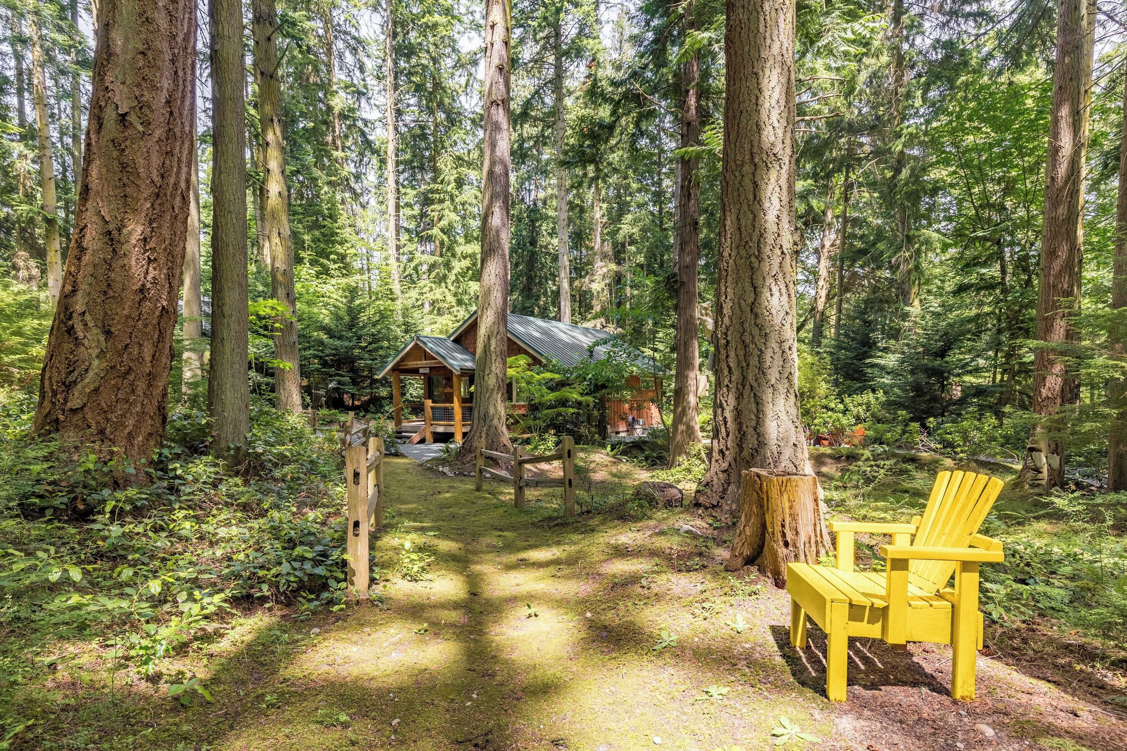 Una cabaña en el bosque, con un sendero de tierra que lleva a ella, rodeada de árboles altos.
