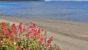 Een strand met roze bloemen op de voorgrond en een rustige zee op de achtergrond.