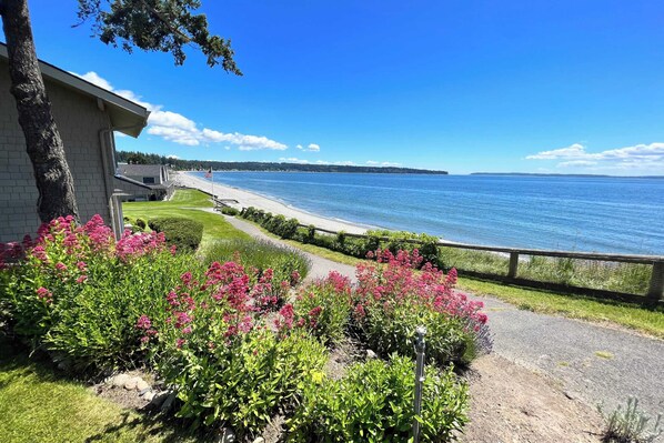 Casa (2 Bedrooms) | Interior