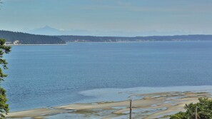On the beach - The Lookout at Crane's Landing by Avantstay (Greenbank)