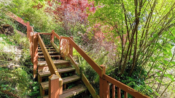 Un escalier en bois, entouré d’une végétation luxuriante et d’arbres.