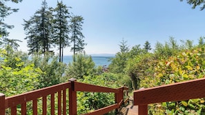 A wooden staircase leading to a scenic overlook with a view of the sea and tall trees.
