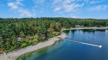 A lakeside property with a dock extending into the water, surrounded by dense forest and a few buildings.