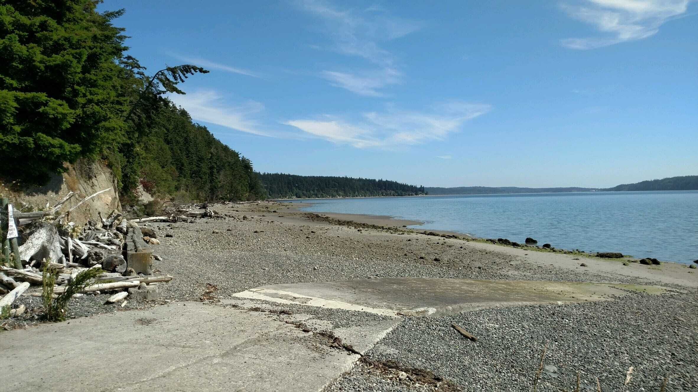 A pebbled beach with driftwood and a forested area.