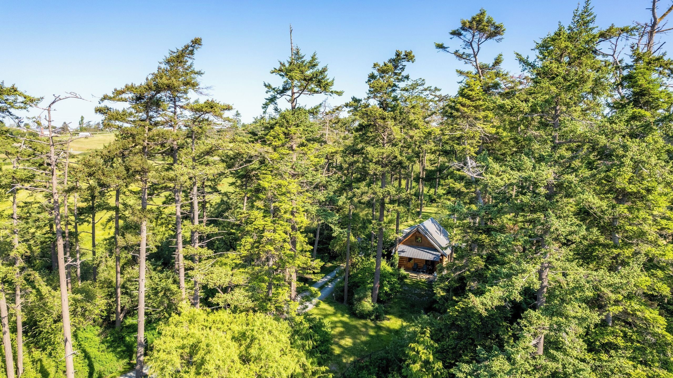 A cabin surrounded by dense forest, with a clear sky above.