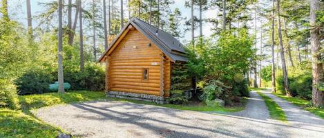 A log cabin with a gravel driveway, surrounded by dense forest.