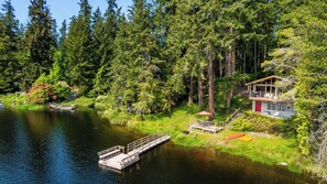 A lakeside cabin with a dock, surrounded by dense forest.