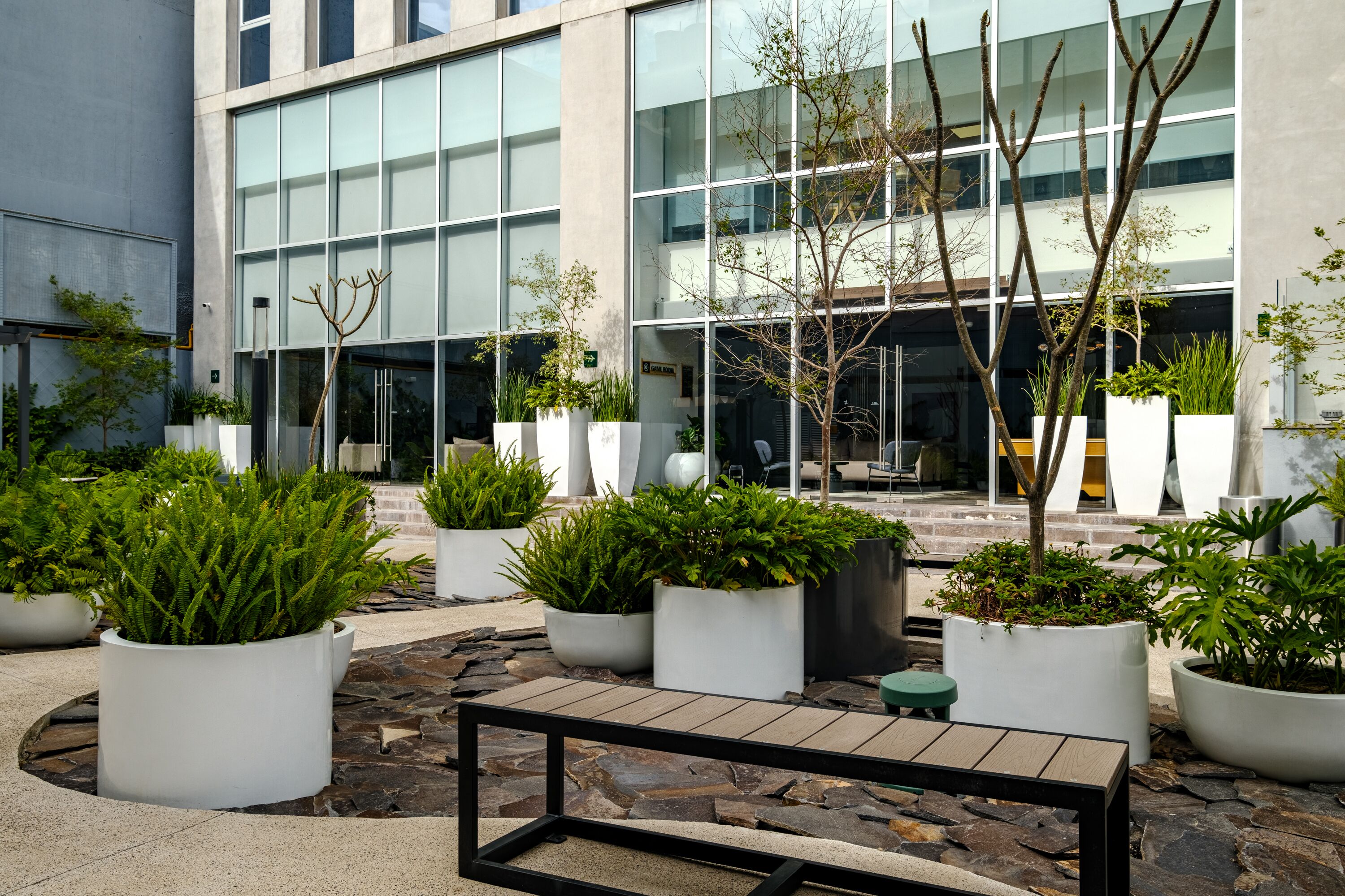 Dakterras