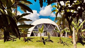 A modern, dome-shaped building surrounded by lush greenery and a clear blue sky. - Rua José Joaquim Nogueira (Santa Branca)