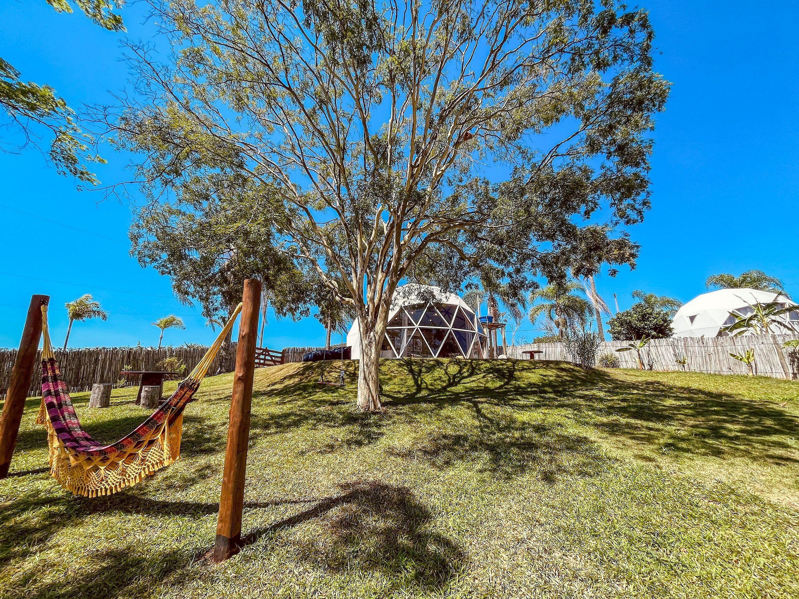 A grassy area with a hammock, a tree, and a geodesic dome structure.