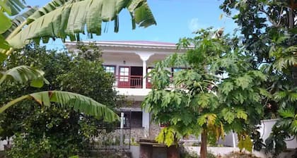 The Home Hotel - Badeau House