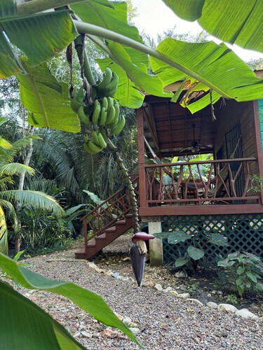 Amazing Jungle Retreat Close to San Ignacio