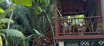 Amazing Jungle Retreat Close to San Ignacio