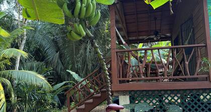 Amazing Jungle Retreat Close to San Ignacio