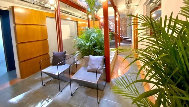 A modern interior with a seating area, plants, and a staircase.