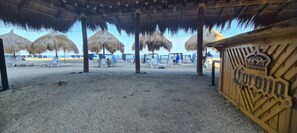 Lettini da mare