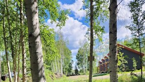Uklassifisert bilde, 5 av 62, knapp