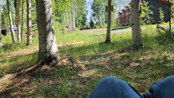 A view from a window overlooking a grassy area with birch trees and a building with a red roof.