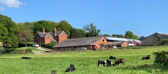 Caravan at Hollowood Farm Malpas Cheshire