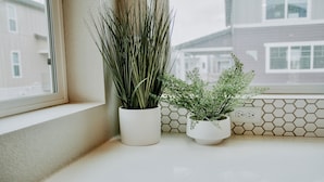 Two potted plants on a windowsill. - New Modern Stylish Oasis, Bright and Comfortable Home (Parker)
