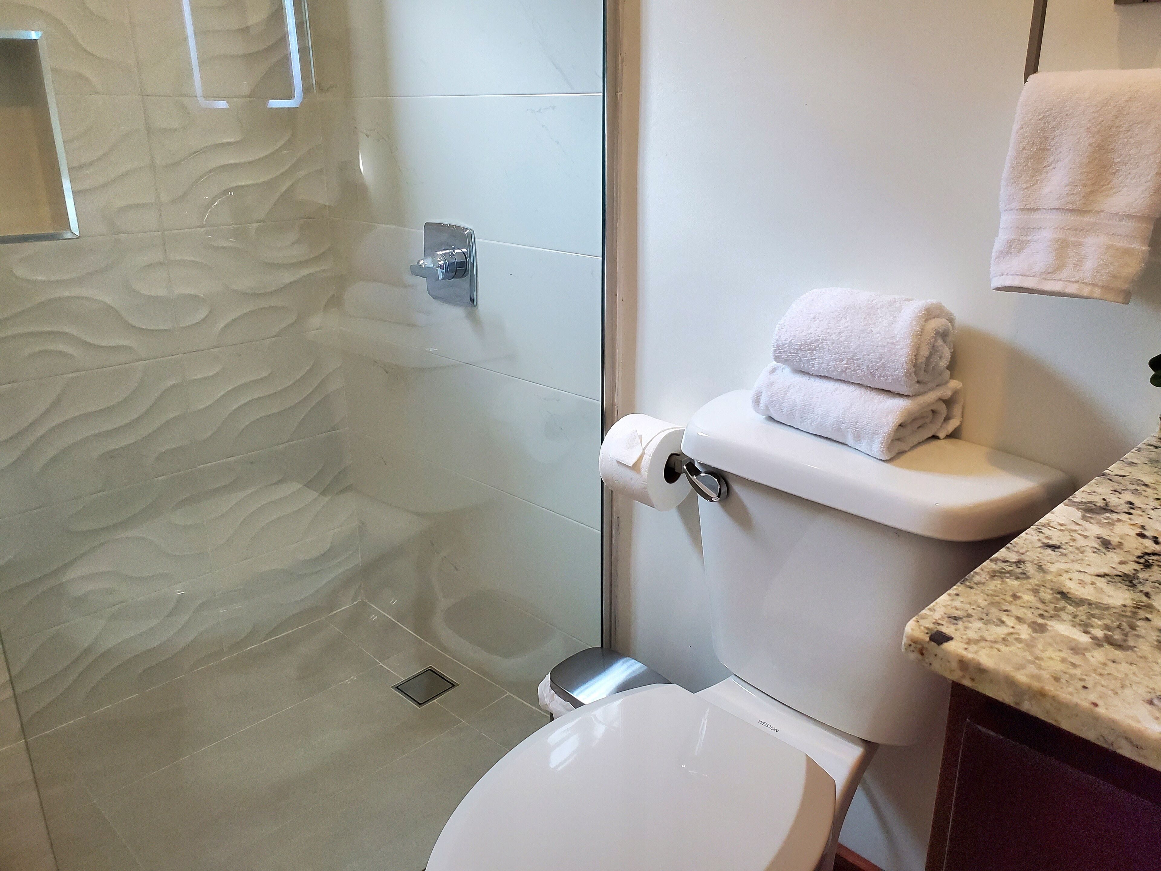 Ein Badezimmer mit Toilette, einer Duschkabine aus Glas und einer Marmorarbeitsplatte.