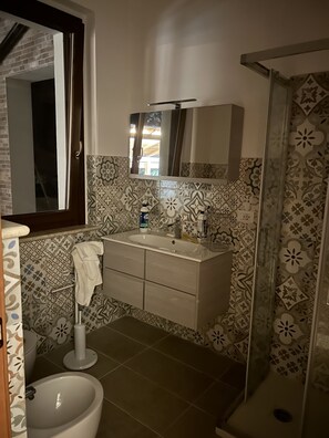Regadera, secadora de cabello, bidet, toallas
