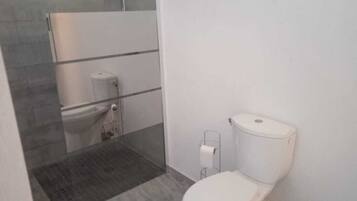 Shower, hair dryer, towels, toilet paper
