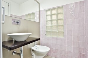 Shower, hair dryer, bidet, towels