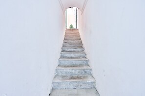 Un escalier menant à une porte, avec une plante placée sur le palier.